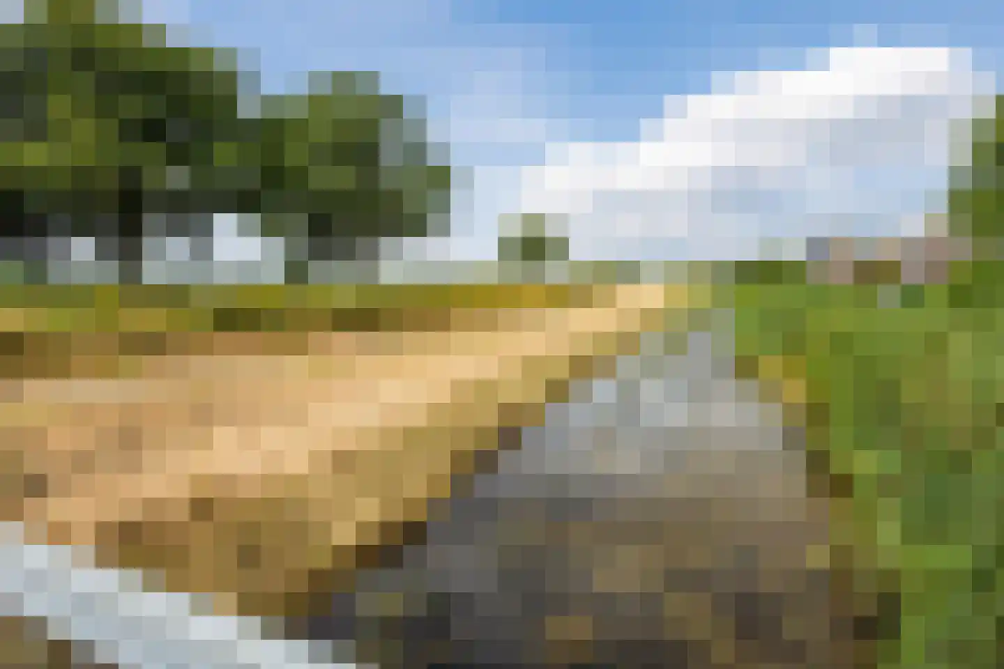 Vogelwikke 9 Meppel thumbnail 45