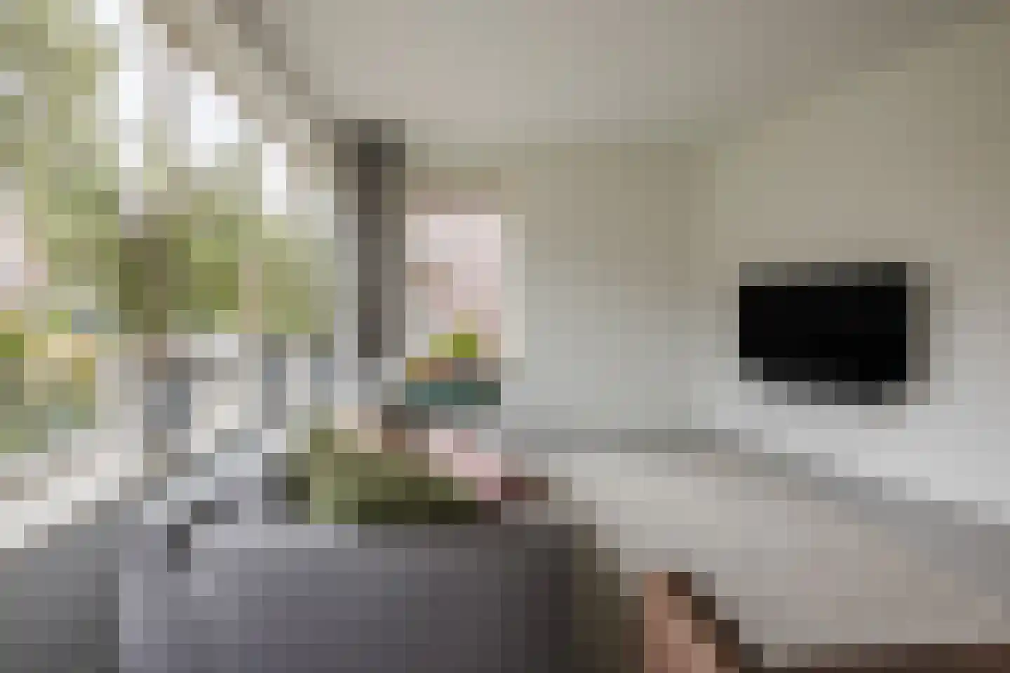 Vogelwikke 9 Meppel thumbnail 7
