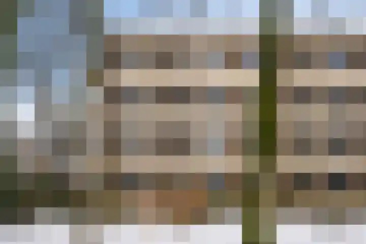 Vogelwikke 91 in Emmen