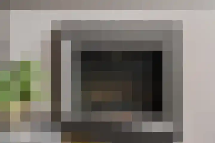 Vogelwikke 91 Emmen thumbnail 17