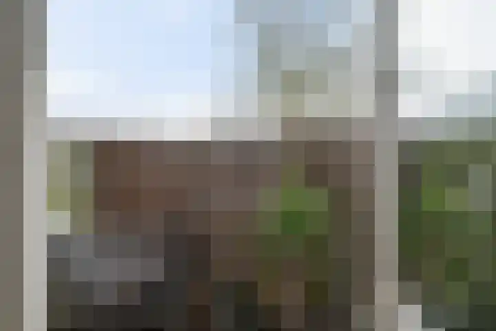 Vogelwikke 91 Emmen thumbnail 23