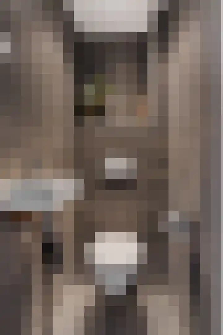 Vogelwikke 91 Emmen thumbnail 34