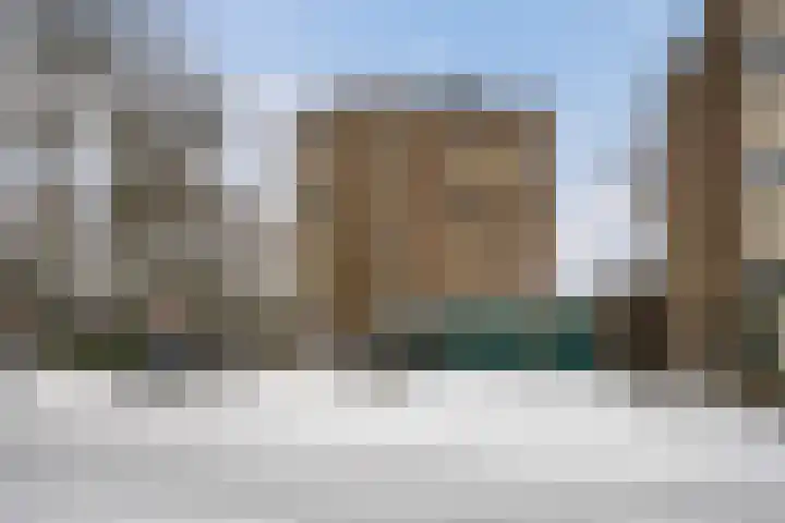Vogelwikke 91 Emmen thumbnail 46