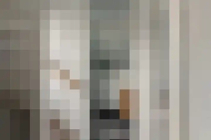 Vogelwikke 91 Emmen thumbnail 47