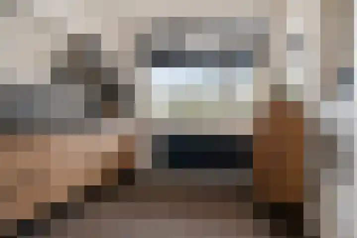 Vogelwikke 91 Emmen thumbnail 5