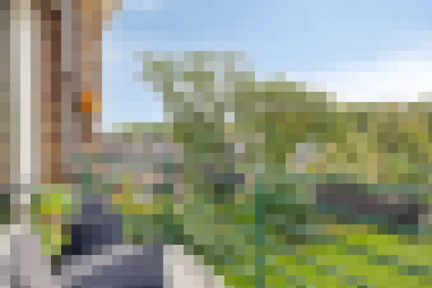 Vogelwikke 93 Emmen thumbnail 9