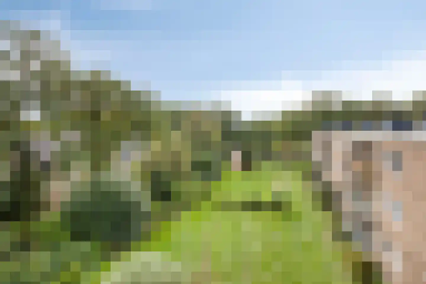 Vogelwikke 93 Emmen thumbnail 10