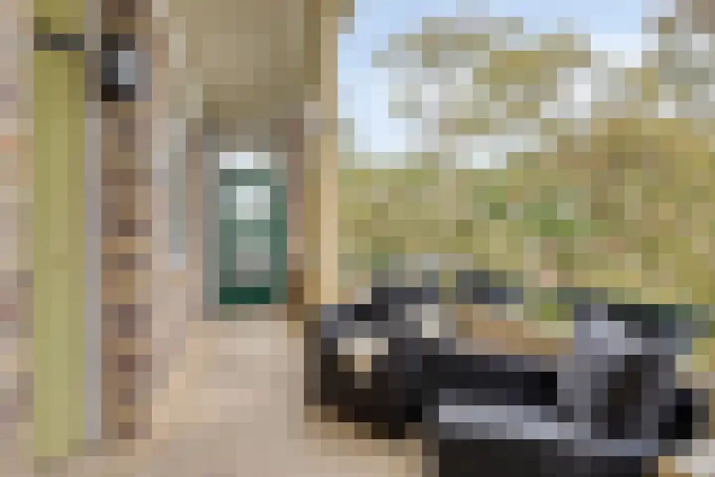 Vogelwikke 93 Emmen thumbnail 17