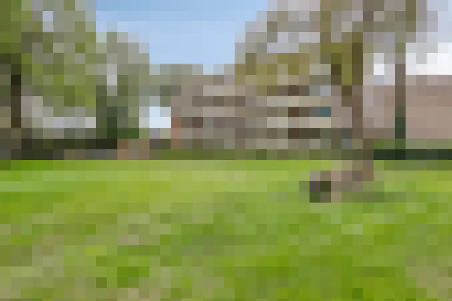 Vogelwikke 93 Emmen thumbnail 19
