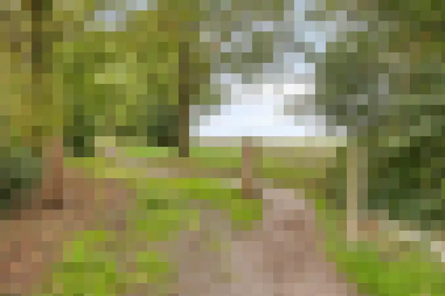 Vogelwikke 93 Emmen thumbnail 21