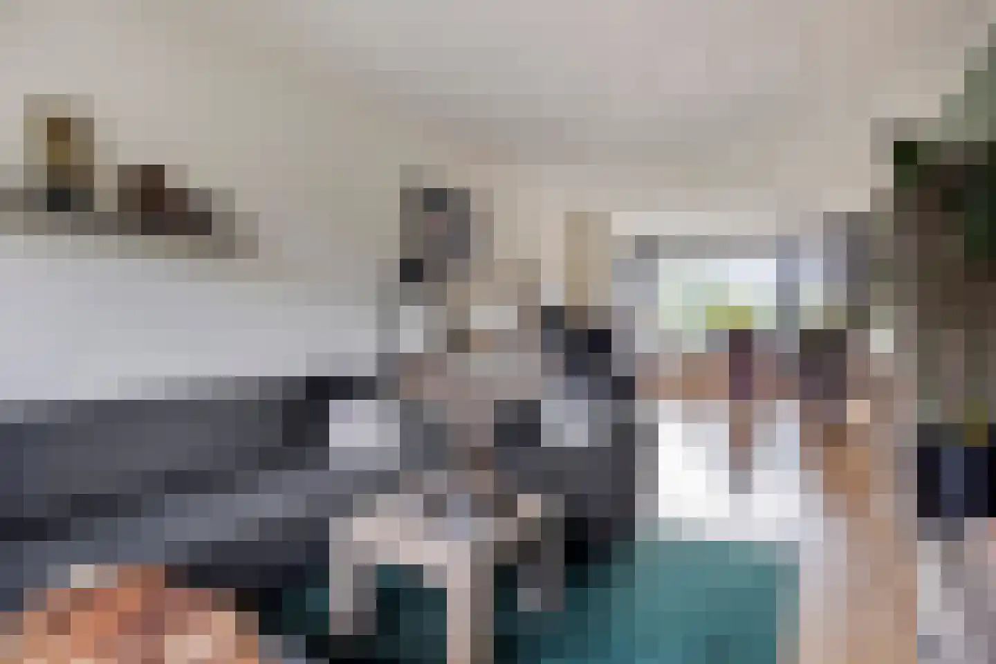 Vogelwikke 93 Emmen thumbnail 4