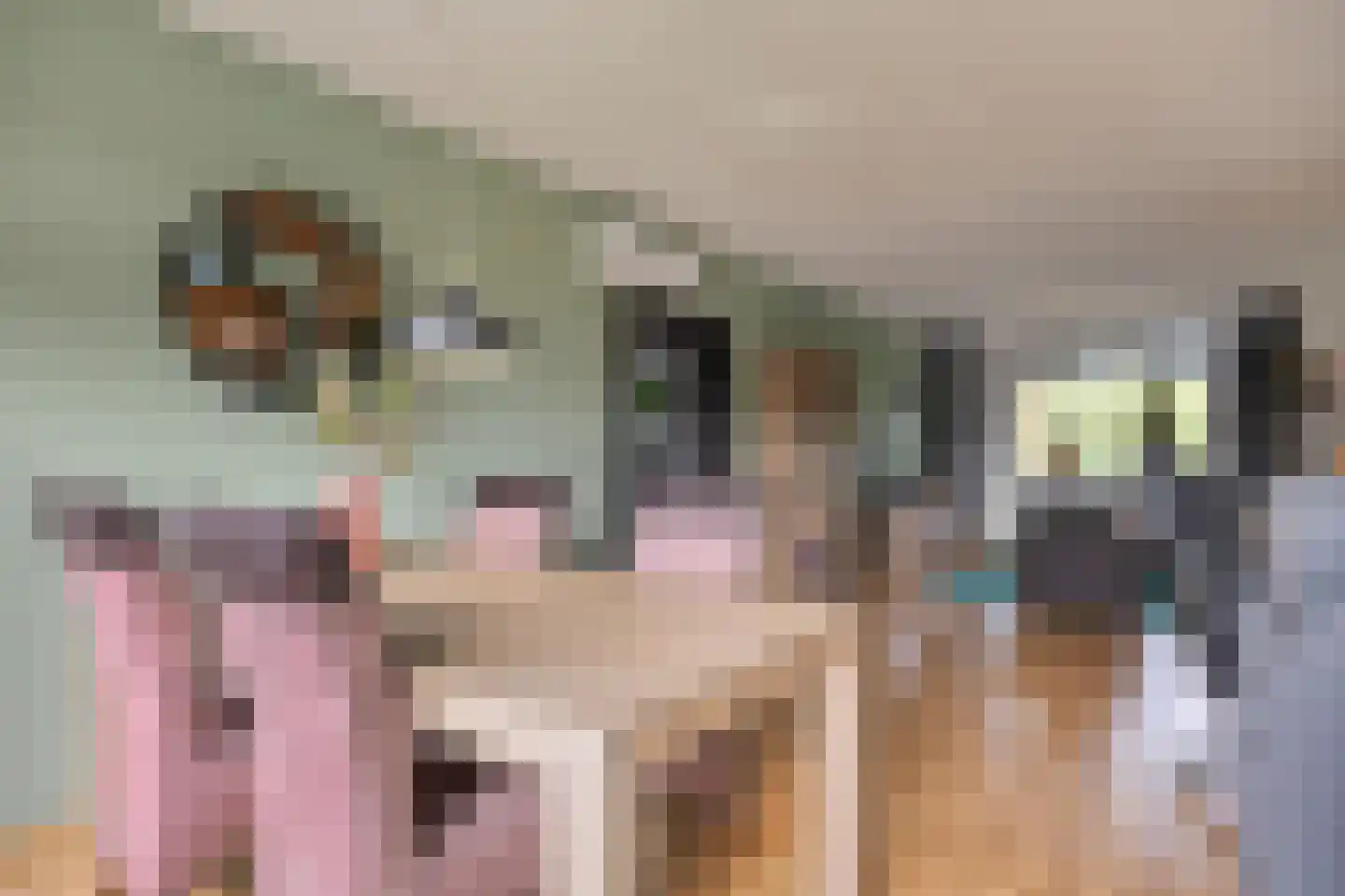 Vogelwikke 93 Emmen thumbnail 7