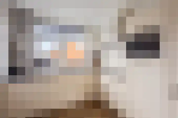 Vogelwikkepad 3 Heerhugowaard thumbnail 15