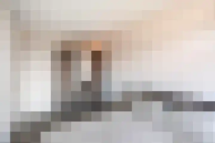 Vogelwikkepad 3 Heerhugowaard thumbnail 20