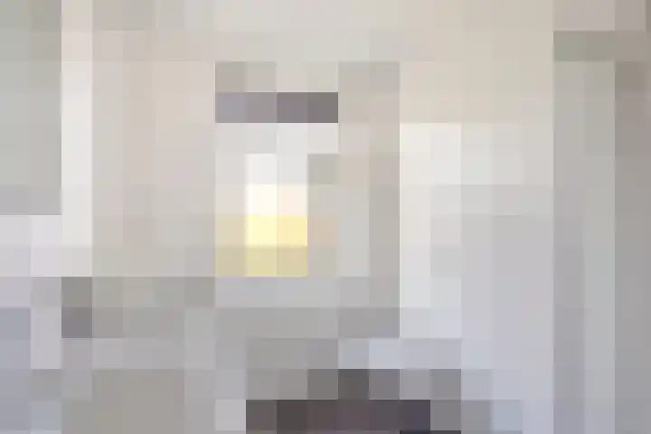 Vogelwikkepad 3 Heerhugowaard thumbnail 21