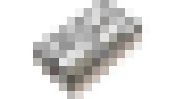 Vogelwikkepad 3 Heerhugowaard thumbnail 26