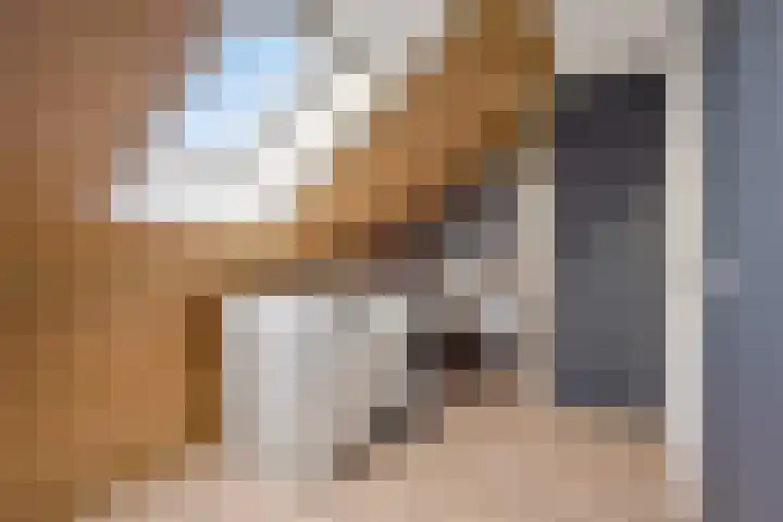 Vogelwikkepad 3 Heerhugowaard thumbnail 31