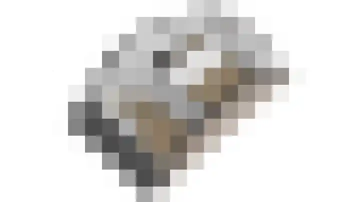 Vogelwikkepad 3 Heerhugowaard thumbnail 33