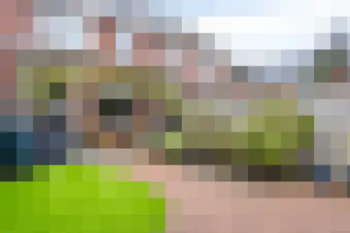 Vogelwikkepad 3 Heerhugowaard thumbnail 36