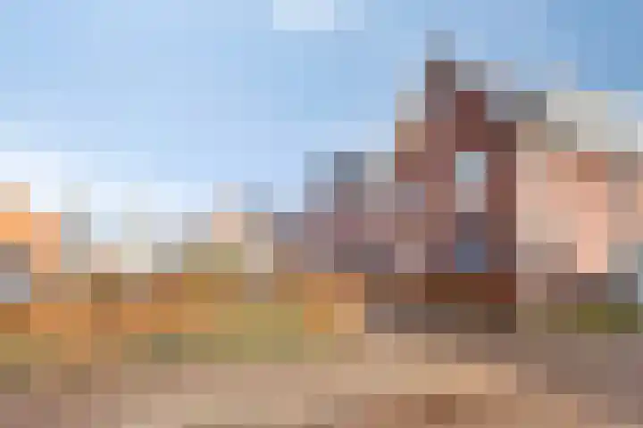 Vogelwikkepad 3 Heerhugowaard thumbnail 39