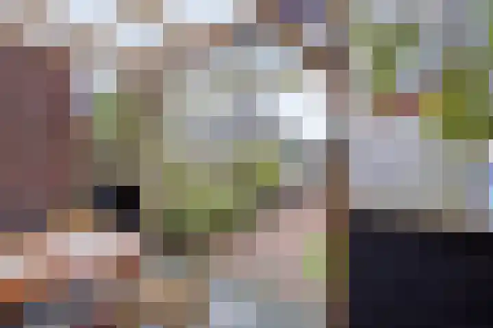 Vogelwikkepad 3 Heerhugowaard thumbnail 5