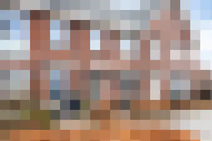 Vogelwikkepad 3 Heerhugowaard thumbnail 6