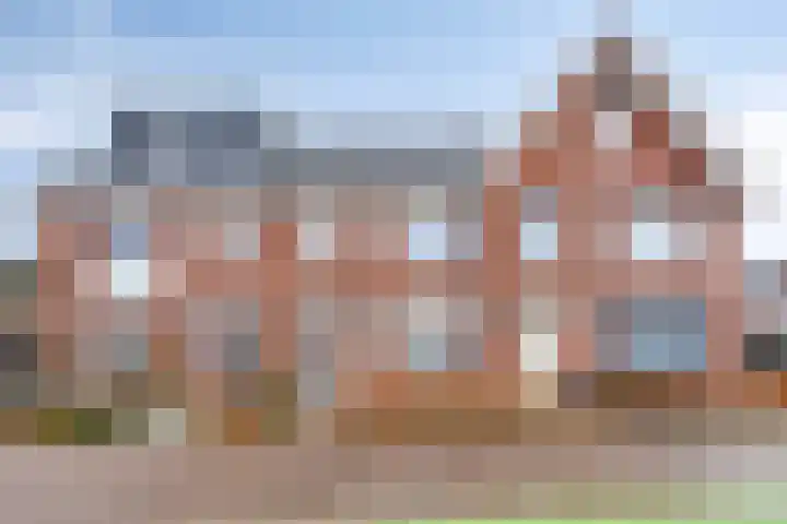 Vogelwikkepad 3 Heerhugowaard thumbnail 7