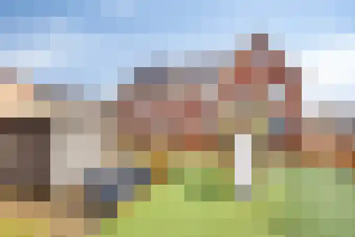 Vogelwikkepad 3 Heerhugowaard thumbnail 8