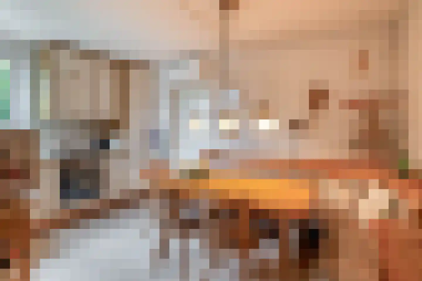 Vogelwikkestraat 17 Zevenbergen thumbnail 17