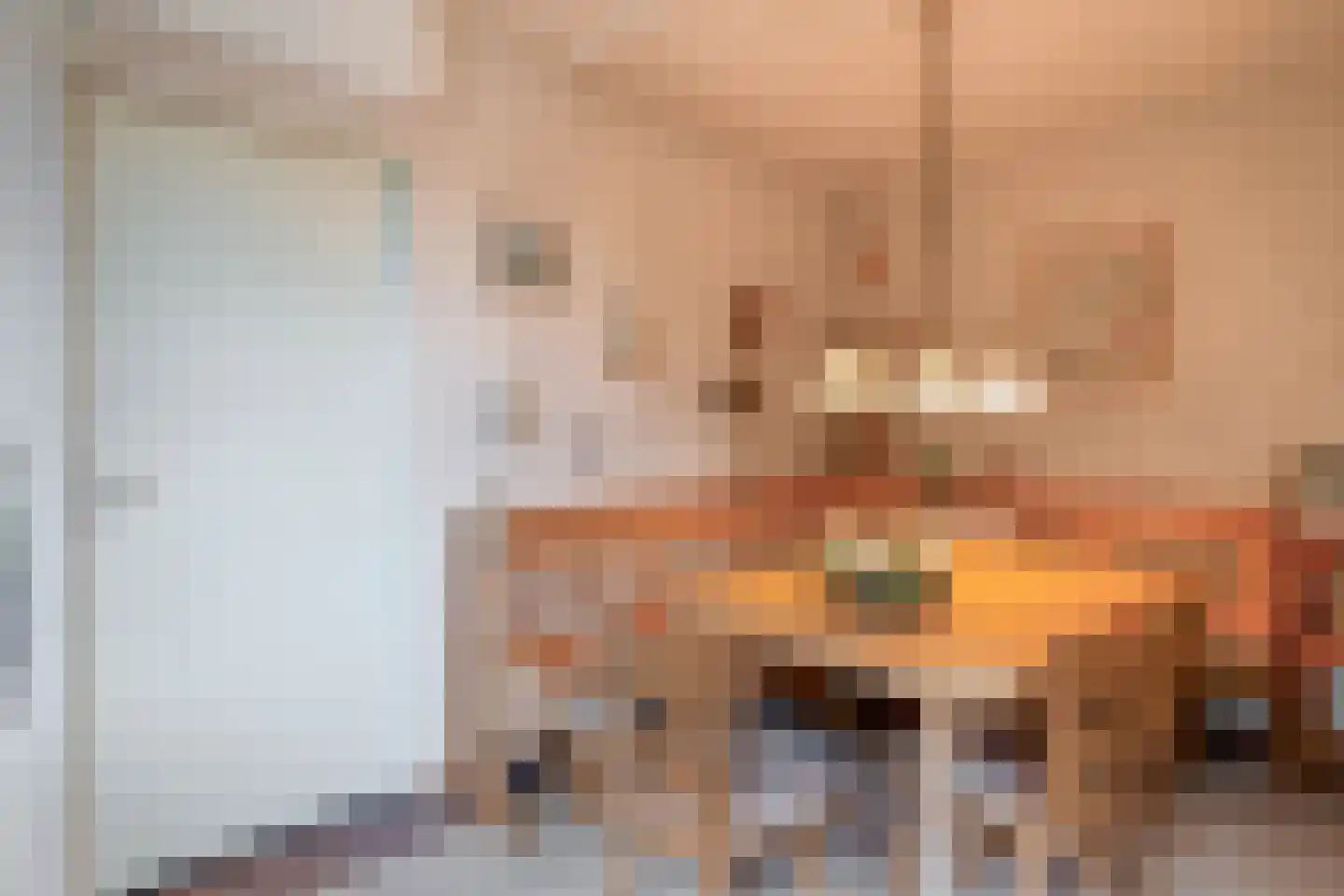 Vogelwikkestraat 17 Zevenbergen thumbnail 18