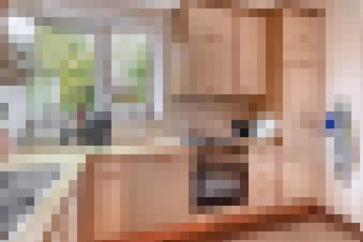 Vogelwikkestraat 17 Zevenbergen thumbnail 20