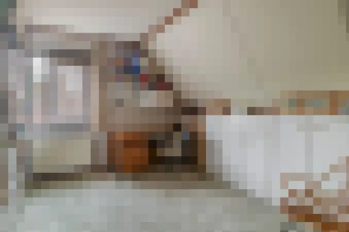 Vogelwikkestraat 17 Zevenbergen thumbnail 33