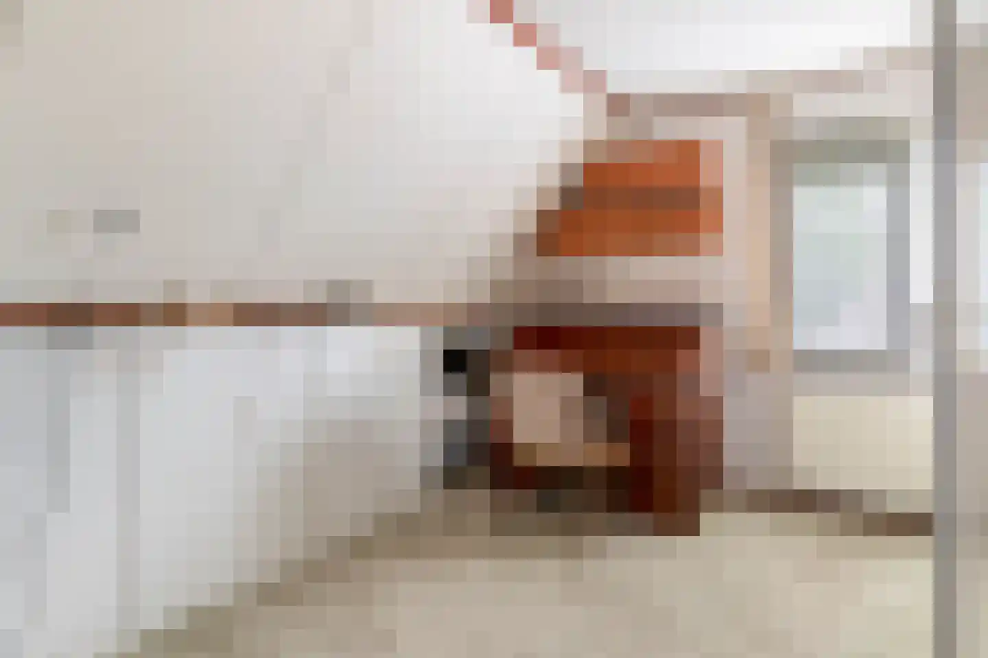Vogelwikkestraat 17 Zevenbergen thumbnail 36
