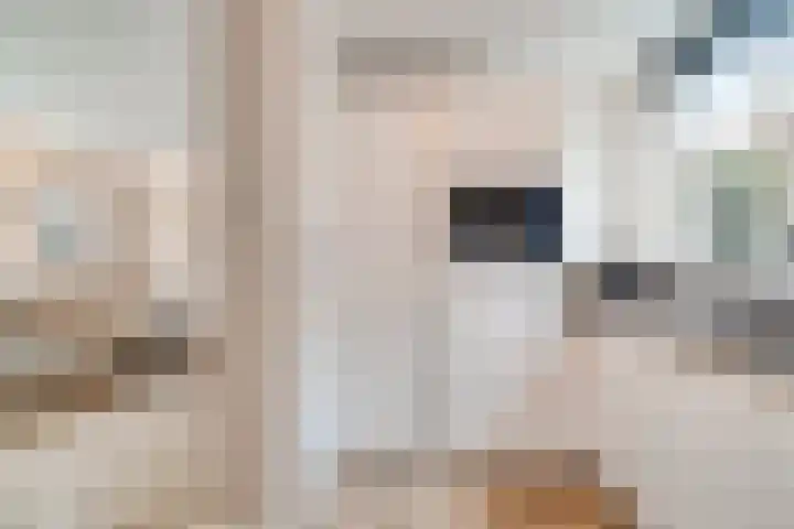 Vogelwikkeveld 13 Woerden thumbnail 13