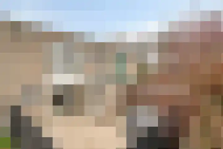 Vogelwikkeveld 13 Woerden thumbnail 25