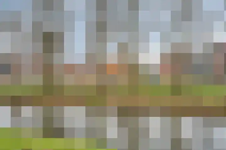 Vogelwikkeveld 13 Woerden thumbnail 32