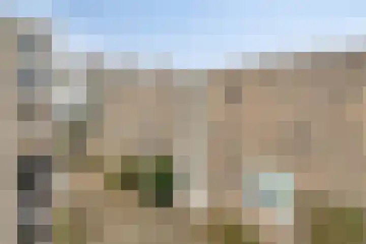 Vogelwikkeveld 13 Woerden thumbnail 4