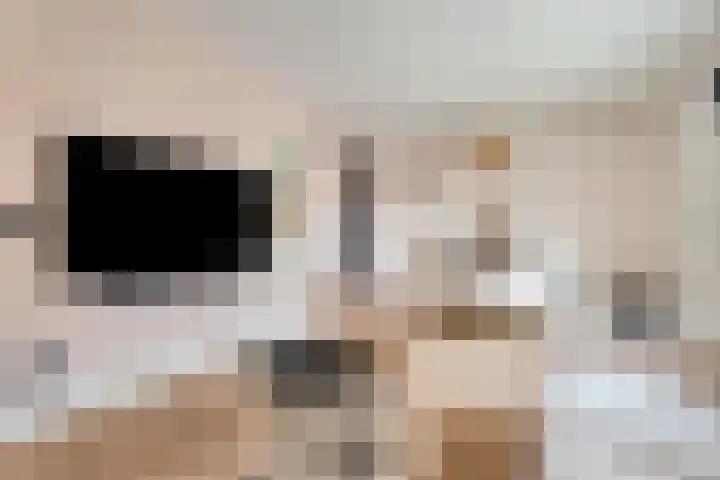Vogelwikkeveld 13 Woerden thumbnail 7