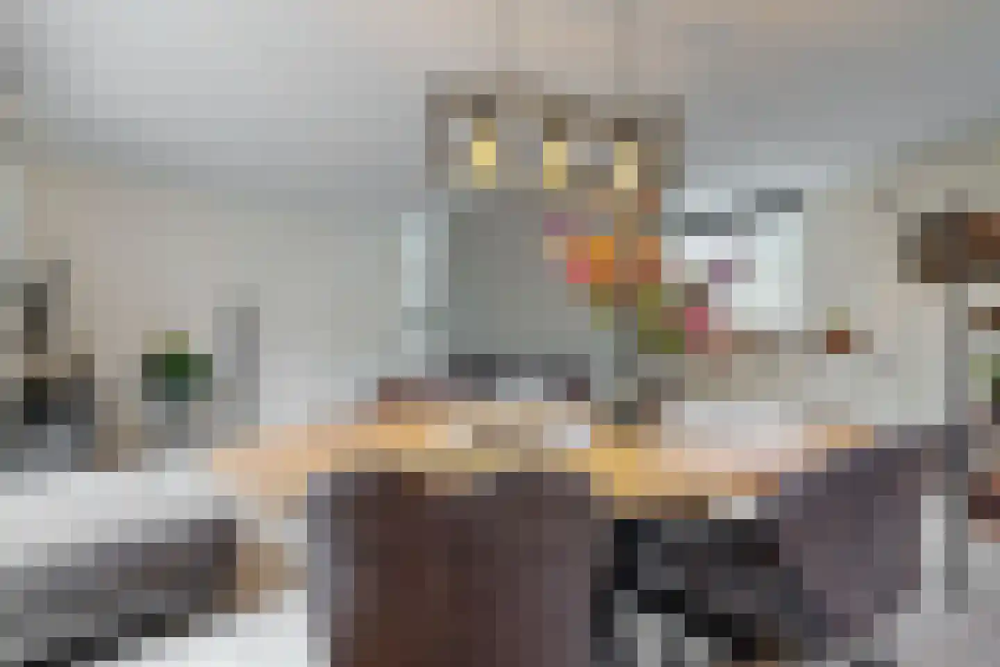 Vogelwikkeveld 19 Woerden thumbnail 10