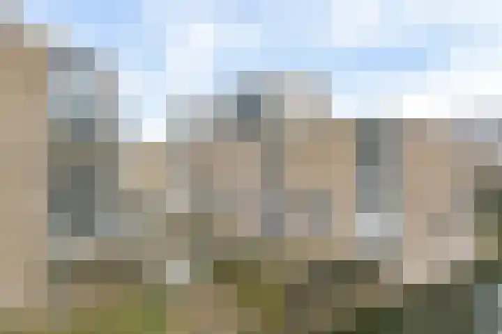 Vogelwikkeveld 19 Woerden thumbnail 28