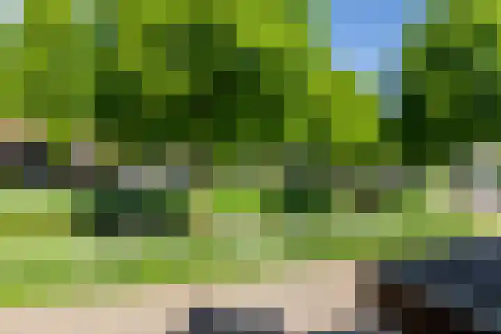 Vogelwikkeveld 20 Woerden thumbnail 20