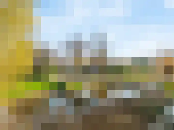 Vogelwikkeveld 63 Woerden thumbnail 32