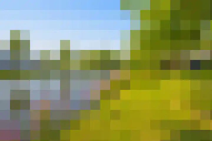 Vogelwikkeveld 63 Woerden thumbnail 36
