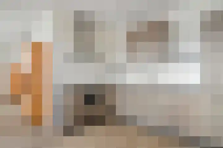 Vogelzand 14 Volendam thumbnail 10