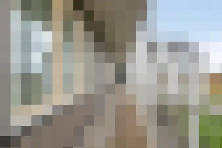 Vogelzand 14 Volendam thumbnail 20