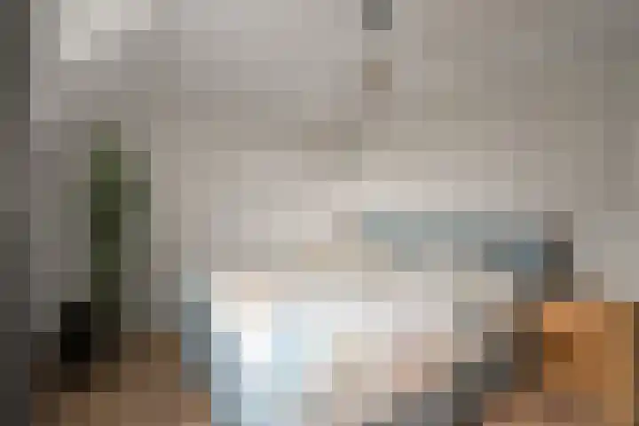 Vogelzand 2125 Julianadorp thumbnail 21