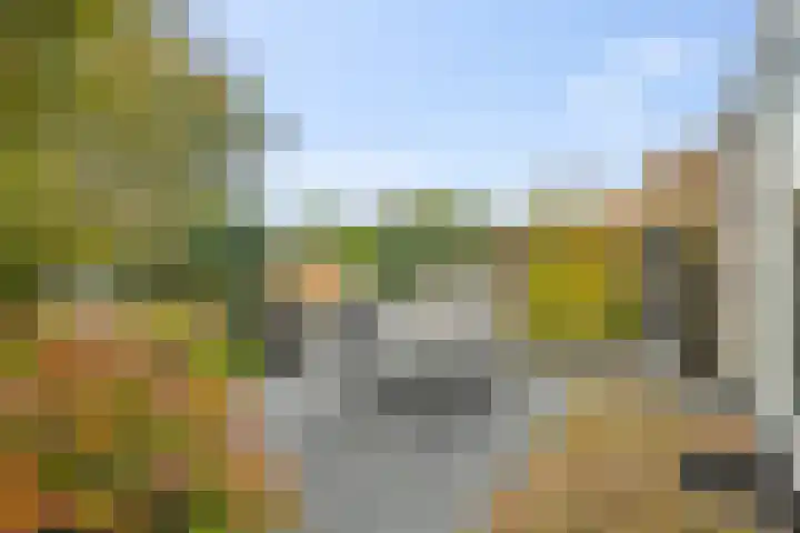 Vogelzand 2125 Julianadorp thumbnail 31