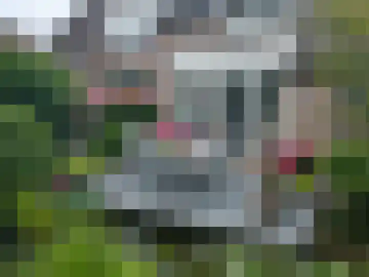 Vogelzand 2125 Julianadorp thumbnail 32