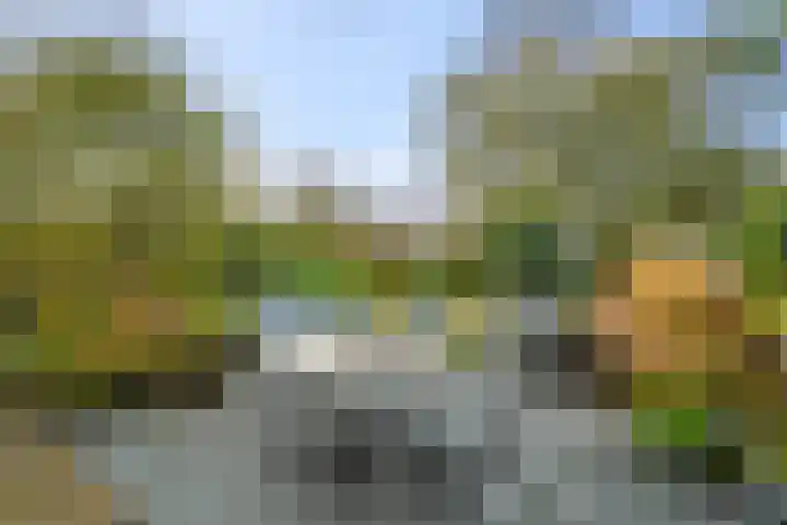 Vogelzand 2125 Julianadorp thumbnail 33