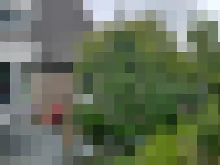Vogelzand 2125 Julianadorp thumbnail 34